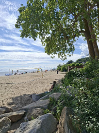 Działka Sprzedaż Mosty Bukszpanowa